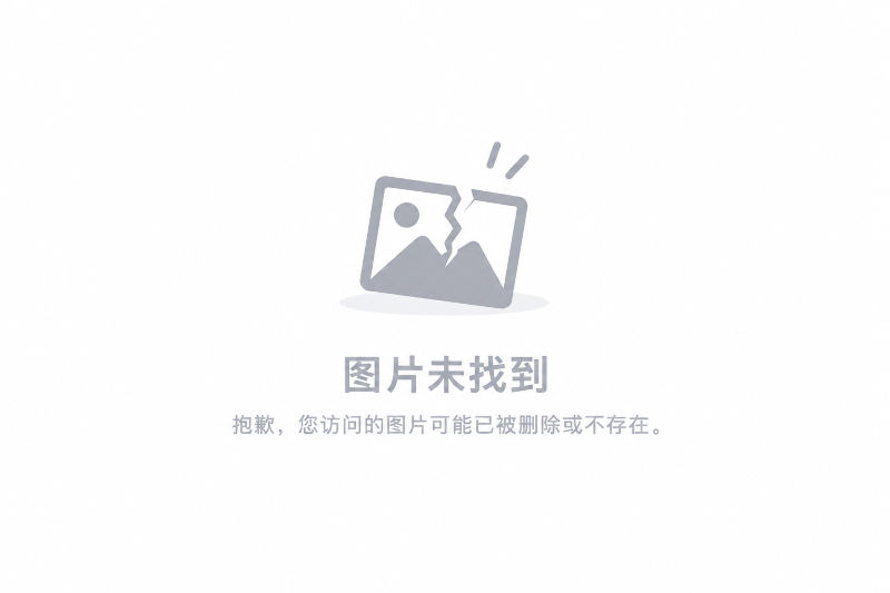 图片未找到